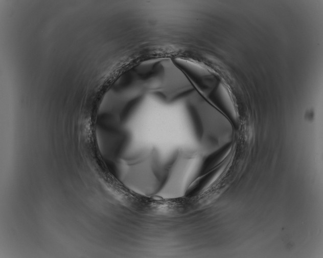 X0000088880564200707061413