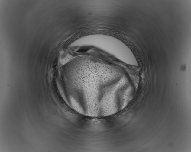 X0000088880566200707061413
