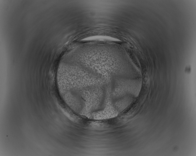 X0000088880568200707061413