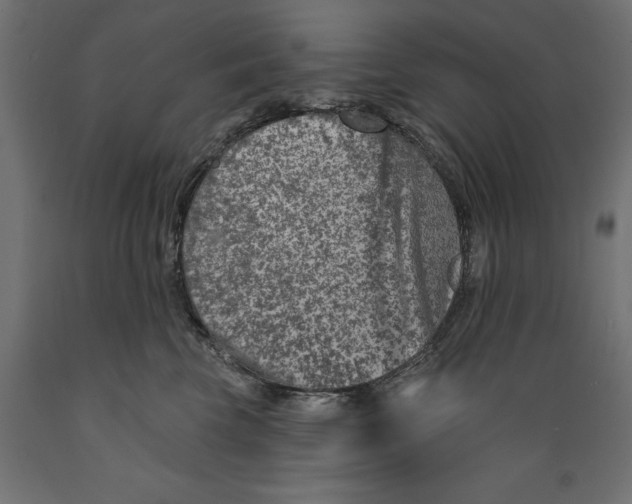 X0000088880569200707061413
