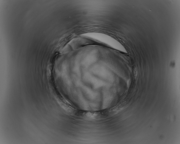 X0000088880570200707061413