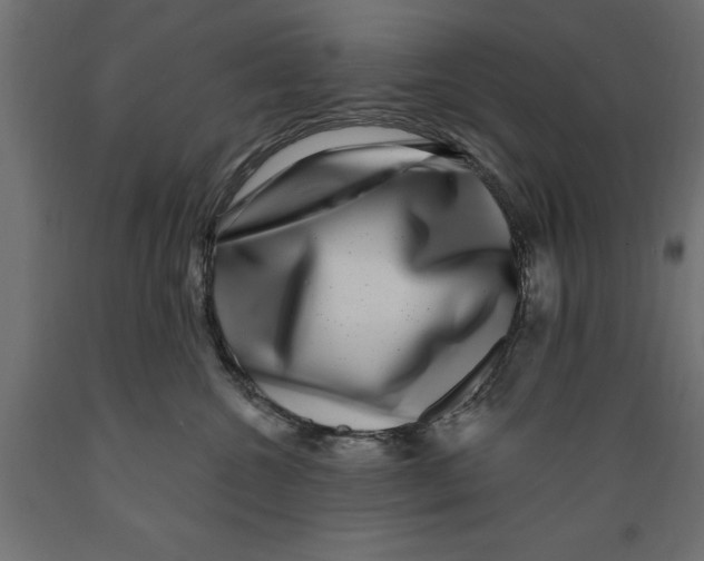 X0000088880572200707061413