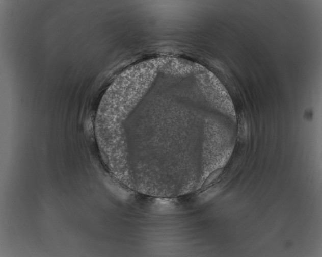 X0000088880573200707061413