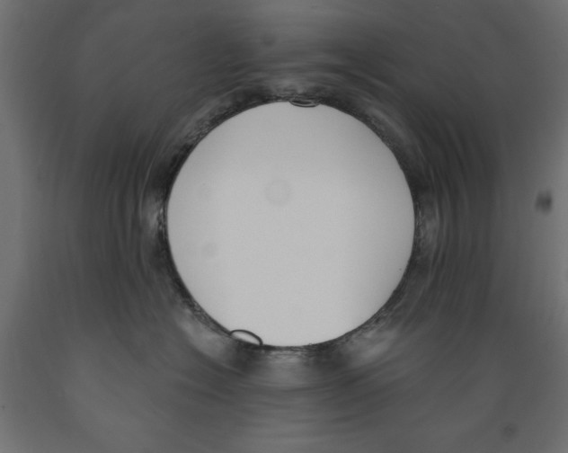 X0000088880574200707061413