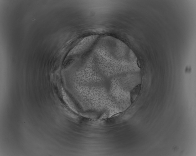 X0000088880576200707061413