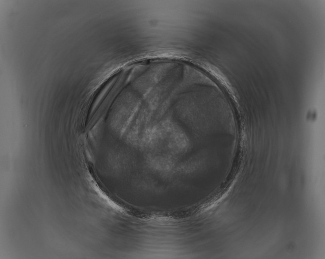 X0000088880577200707061412