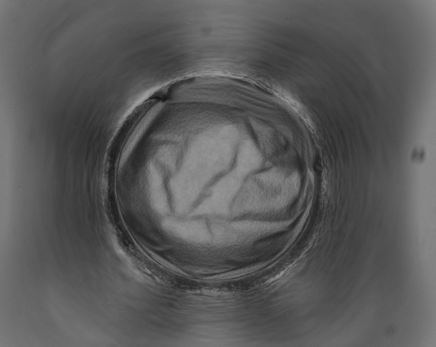 X0000088880580200707061412