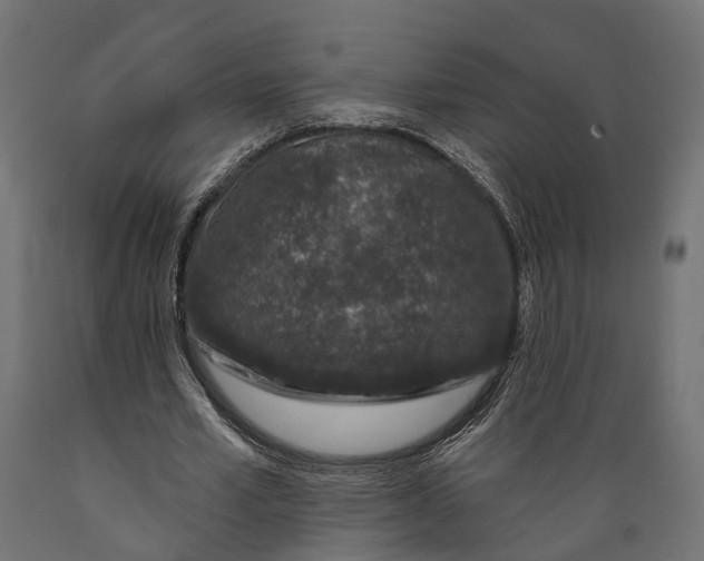 X0000088880581200707061412