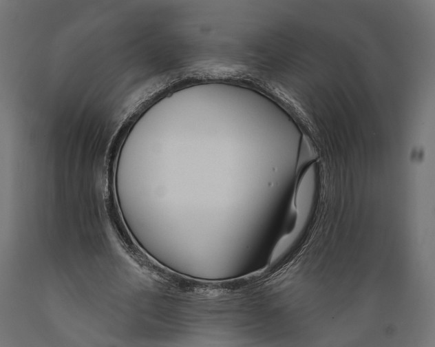 X0000088880582200707061412