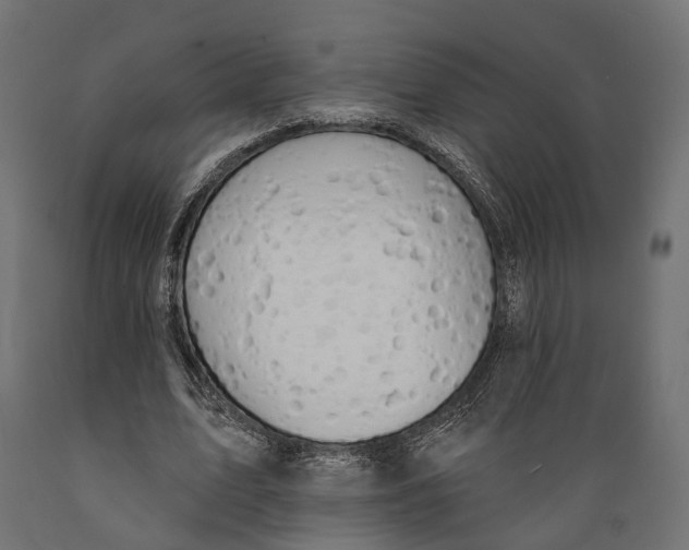 X0000088880583200707061412