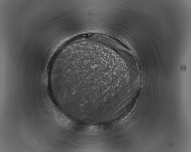 X0000088880584200707061412