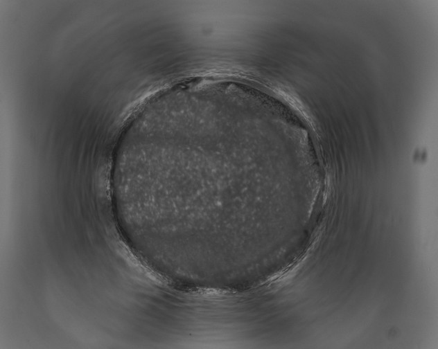 X0000088880585200707061412