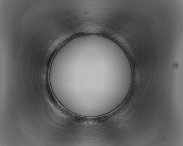 X0000088880586200707061412