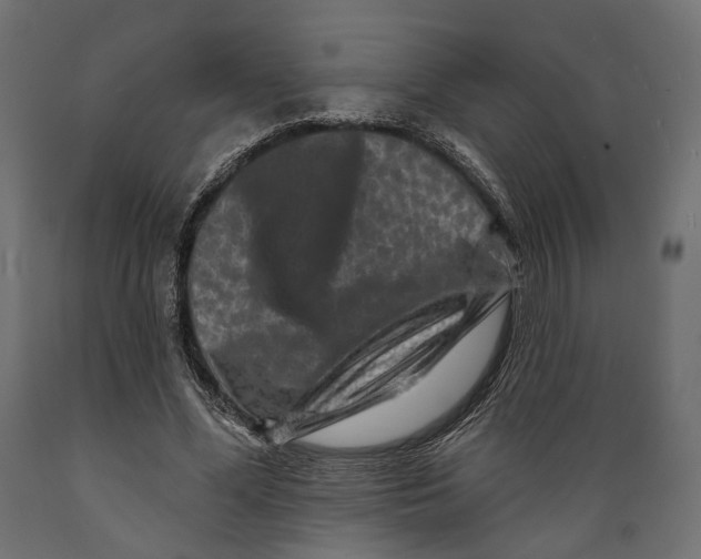 X0000088880588200707061412