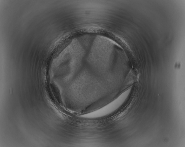 X0000088880589200707061412