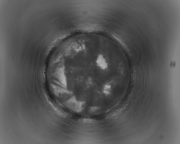 X0000088880590200707061412