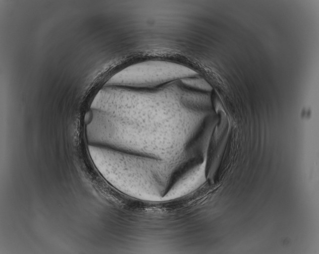 X0000088880591200707061412