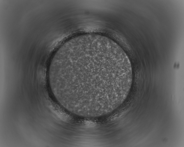 X0000088880592200707061412