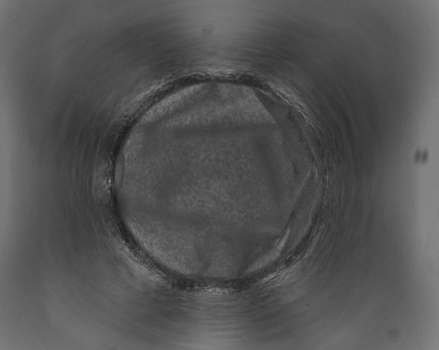 X0000088880593200707061412