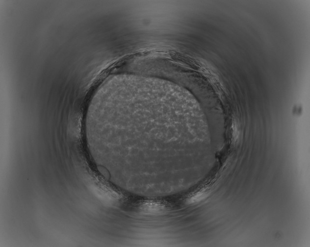 X0000088880596200707061412