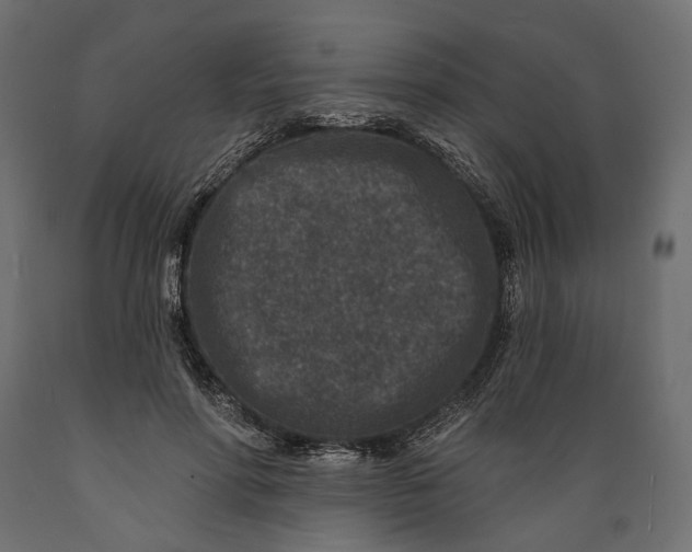 X0000088880598200707061412
