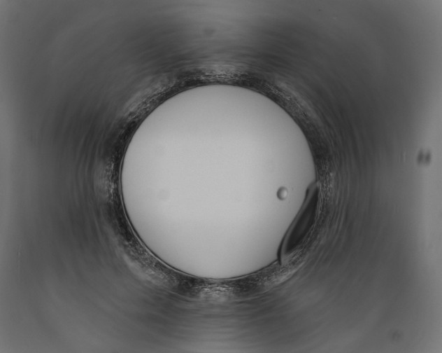 X0000088880599200707061412
