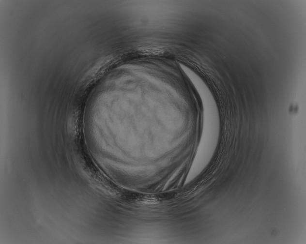 X0000088880600200707061412