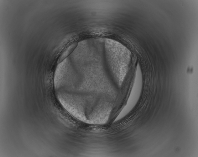 X0000088880601200707061412
