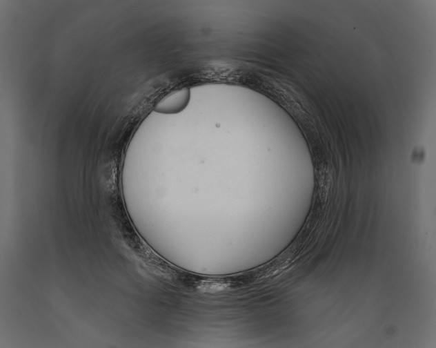 X0000088880602200707061412