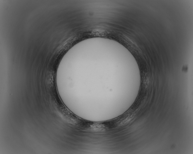X0000088880603200707061412