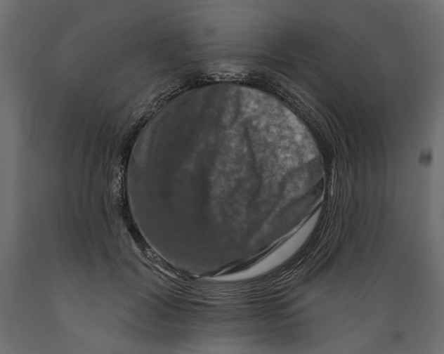 X0000088880604200707061412