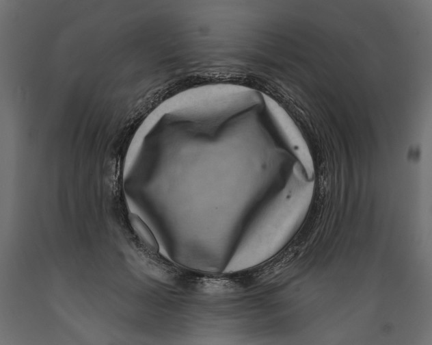 X0000088880605200707061412