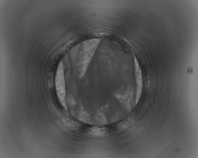 X0000088880606200707061412