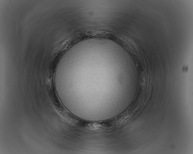 X0000088880607200707061412