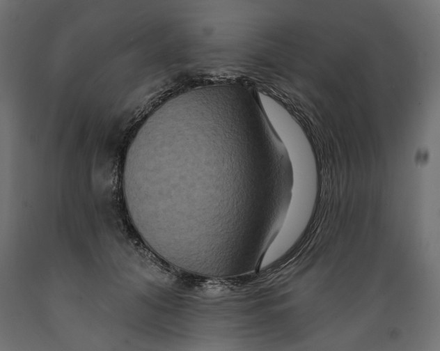 X0000088880608200707061412