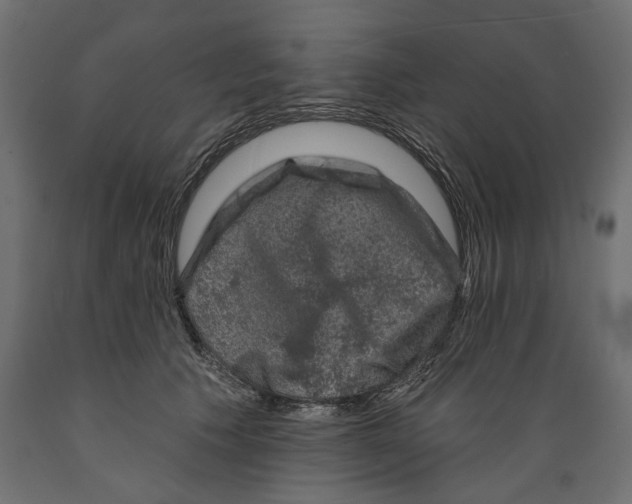 X0000088880609200707061412