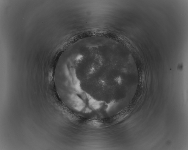X0000088880610200707061412