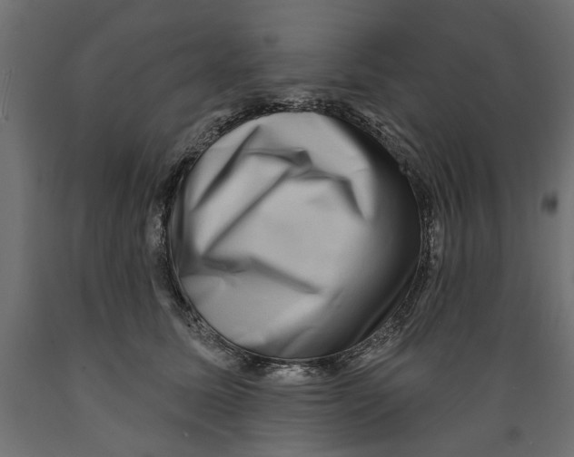 X0000088880611200707061412