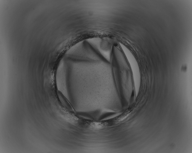 X0000088880613200707061412