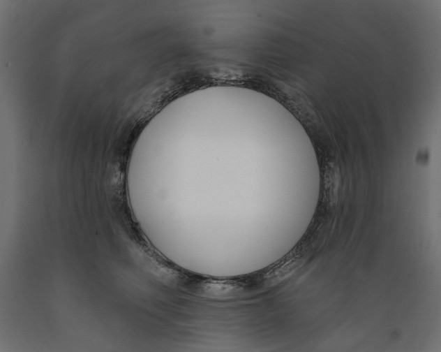 X0000088880614200707061412