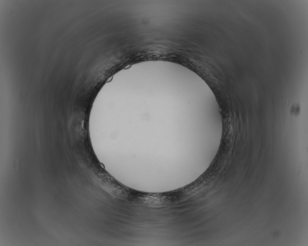 X0000088880615200707061411