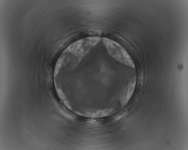 X0000088880616200707061411
