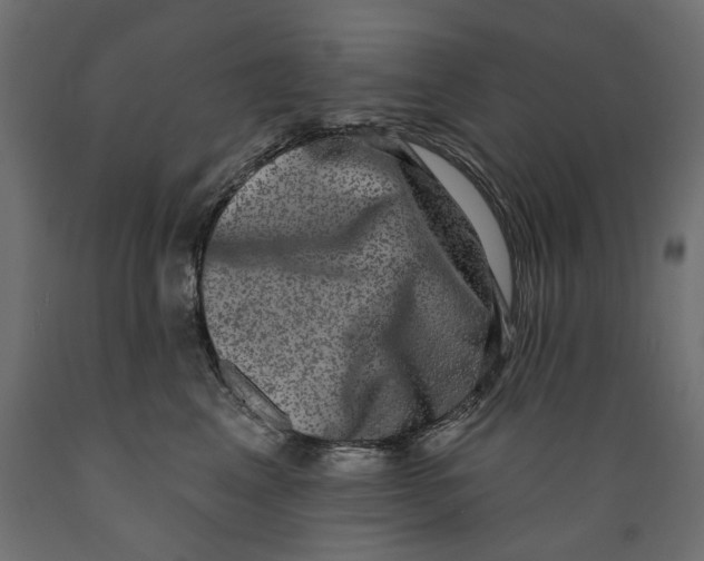 X0000088880617200707061411