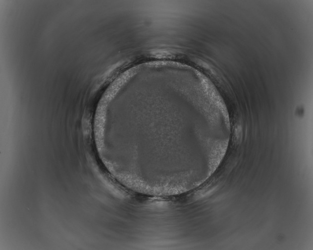 X0000088880620200707061411