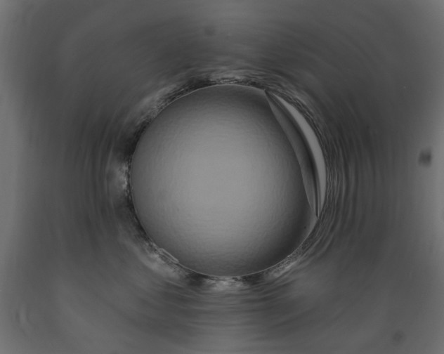 X0000088880621200707061411