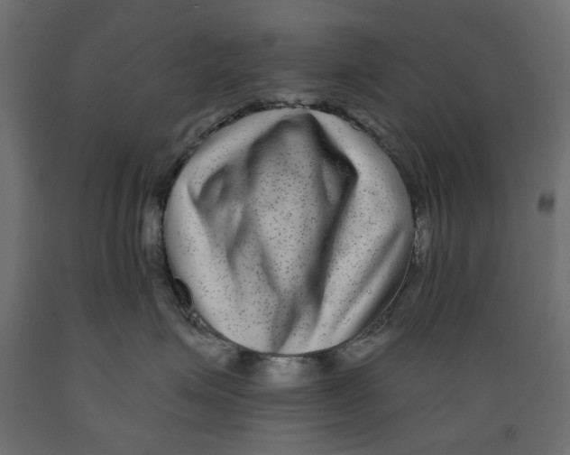 X0000088880623200707061411