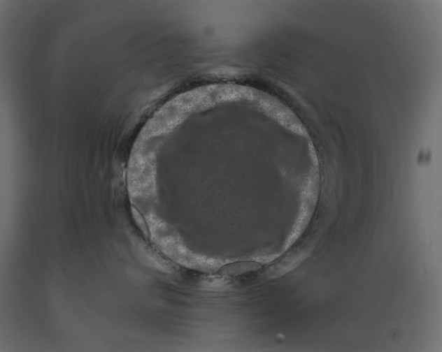 X0000088880624200707061411