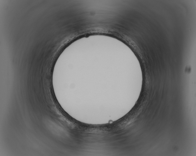 X0000088880625200707061411