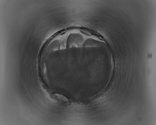 X0000088880626200707061411