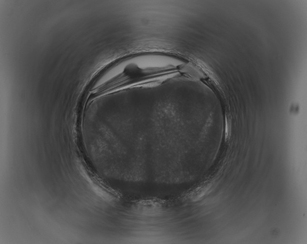 X0000088880627200707061411